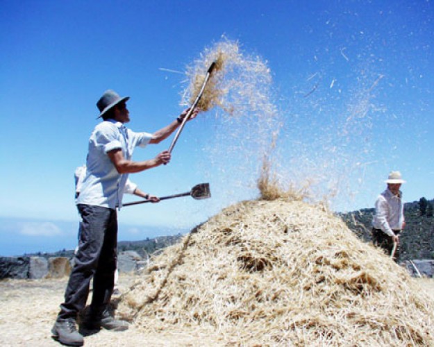 Dzien-tradycji-w-chirche-01