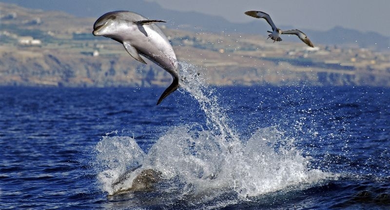 Informacje podstawowe