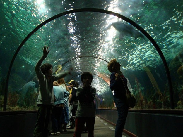 loro parque